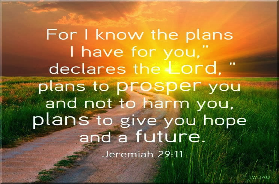 A Plan To Prosper You Arise Ambassadors Ministries   Propseryou 